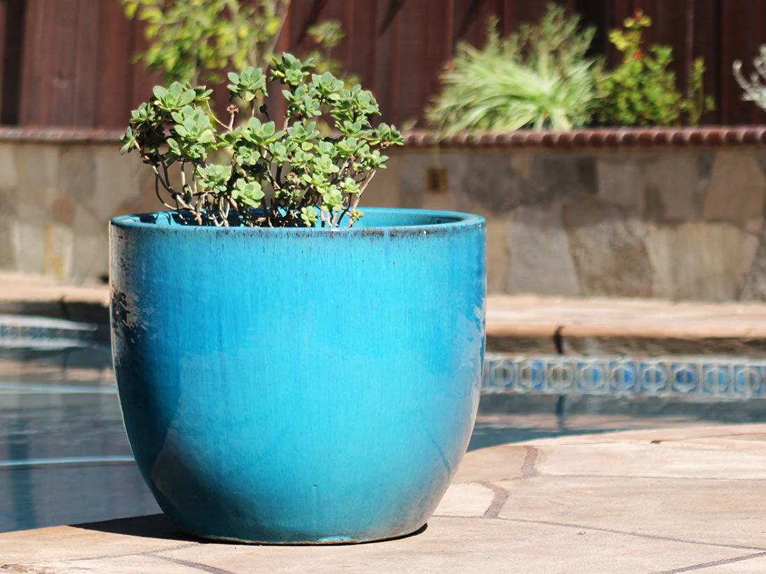 Egg Shell Pots - Set of 4 By Plantatorem - Image 6