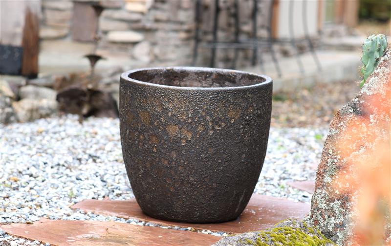 Egg Shell Pots - Set of 4 (Silver Rock) By Plantatorem - Image 2