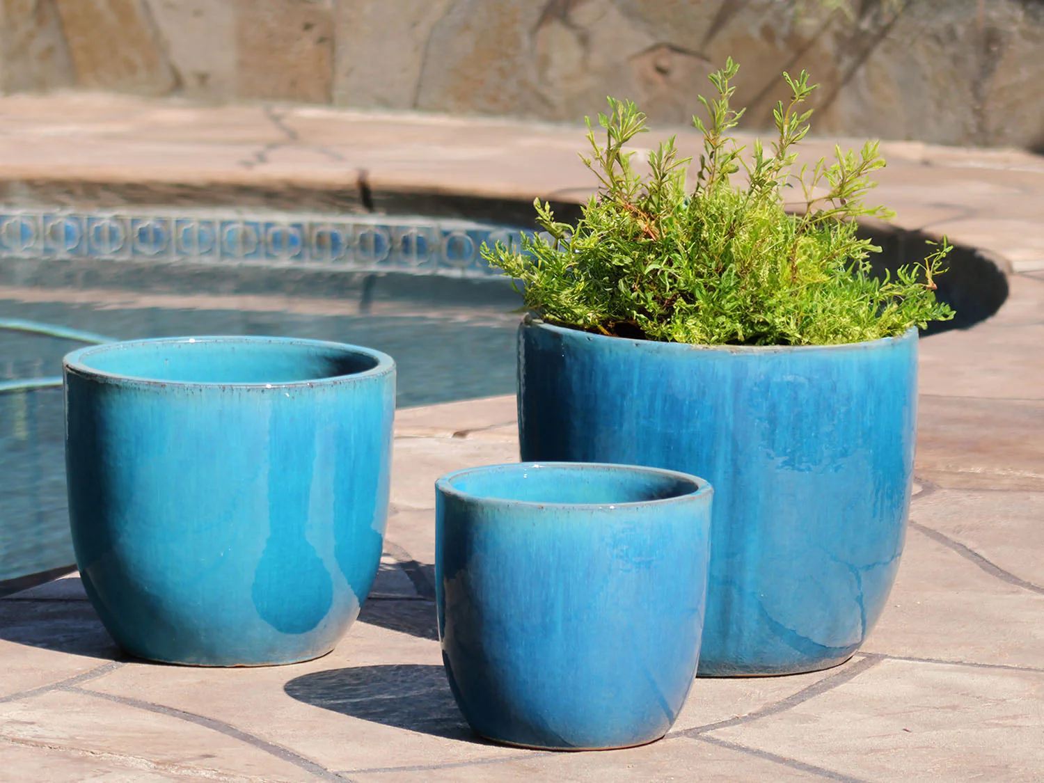 Egg Shell Pots - Sets of 3 By Plantatorem - Image 7