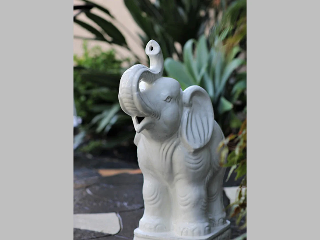 Elephant By Plantatorem - Image 7