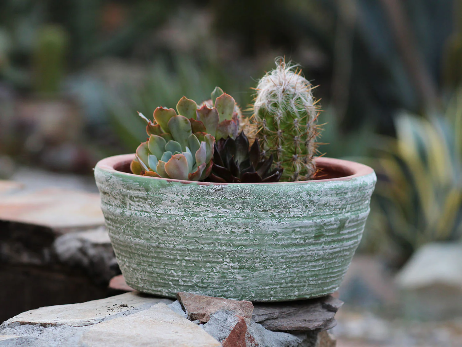 English Tumbled Pots Low - Image 3