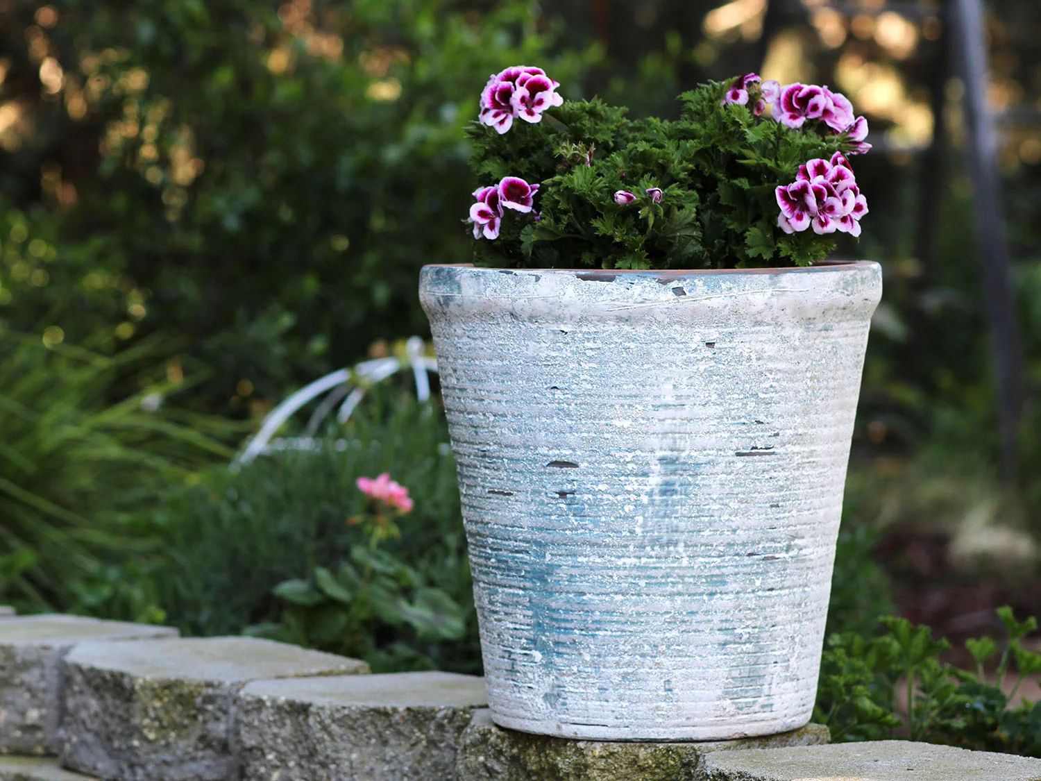 English Tumbled Pots Medium - Image 2