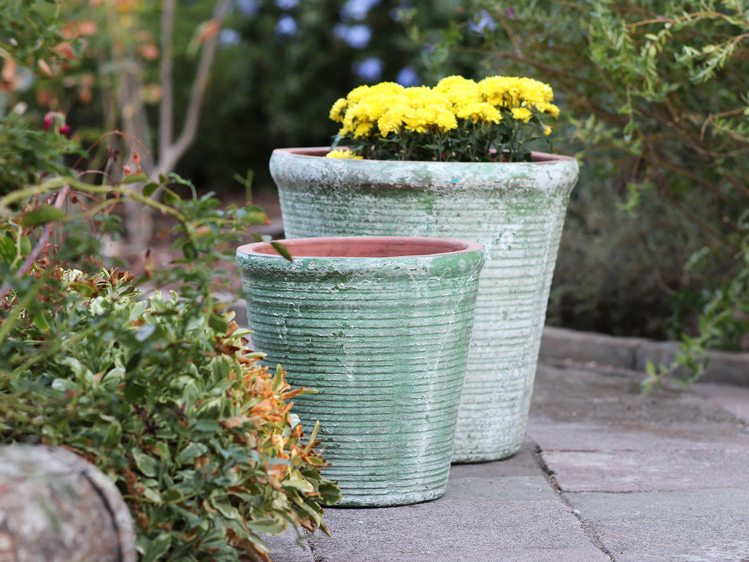 English Tumbled Pots Medium - Image 4
