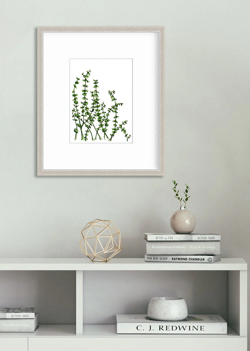 Eucalyptus - Limited Edition Paper Print - Image 2