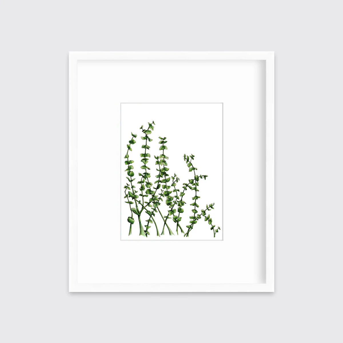 Eucalyptus - Limited Edition Paper Print - Image 3