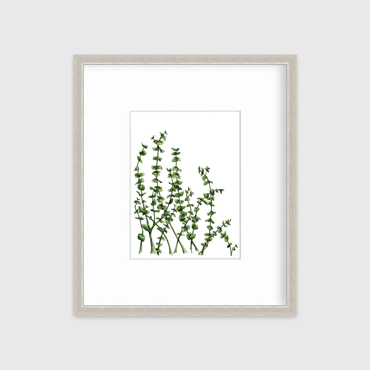 Eucalyptus - Limited Edition Paper Print - Image 5
