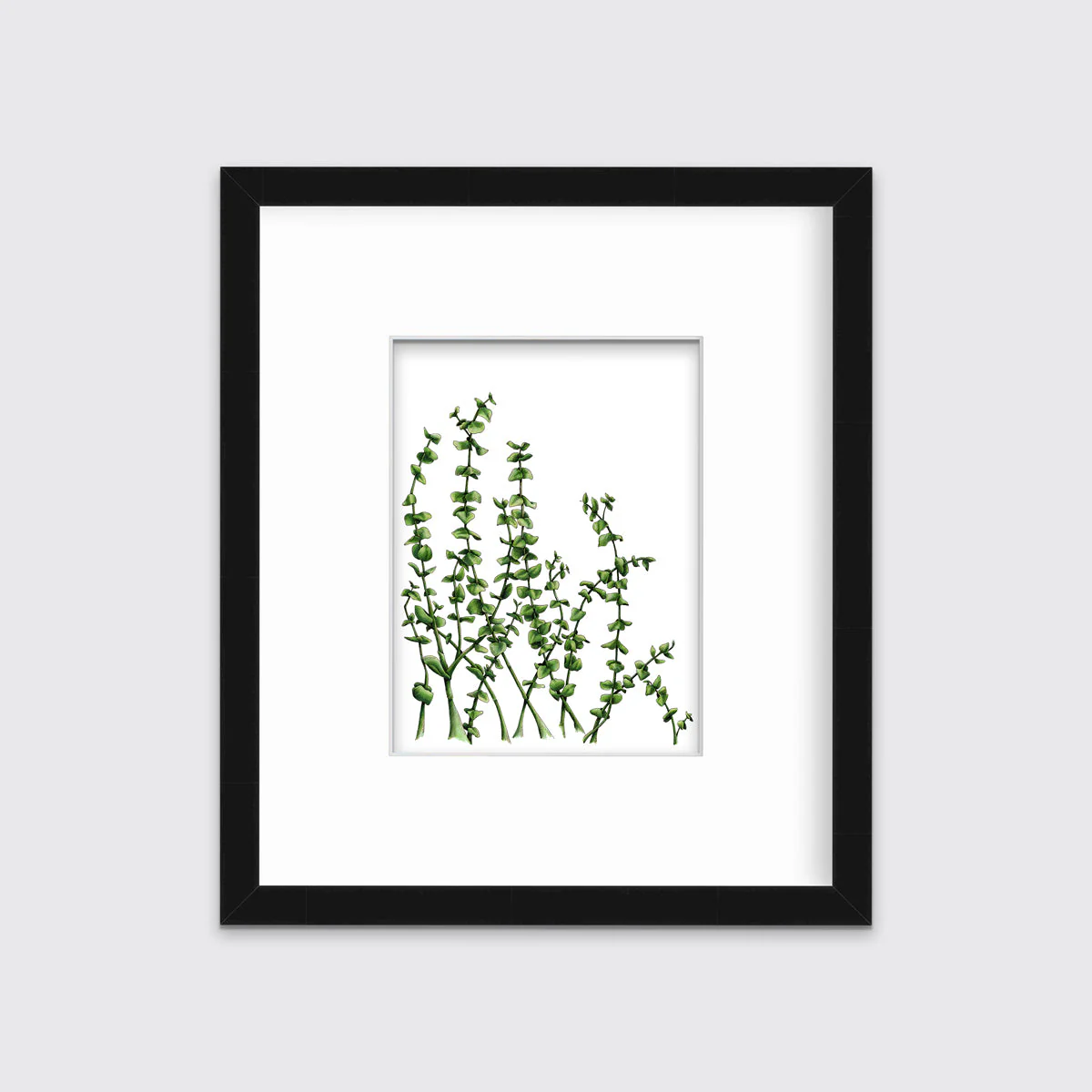 Eucalyptus - Limited Edition Paper Print - Image 6