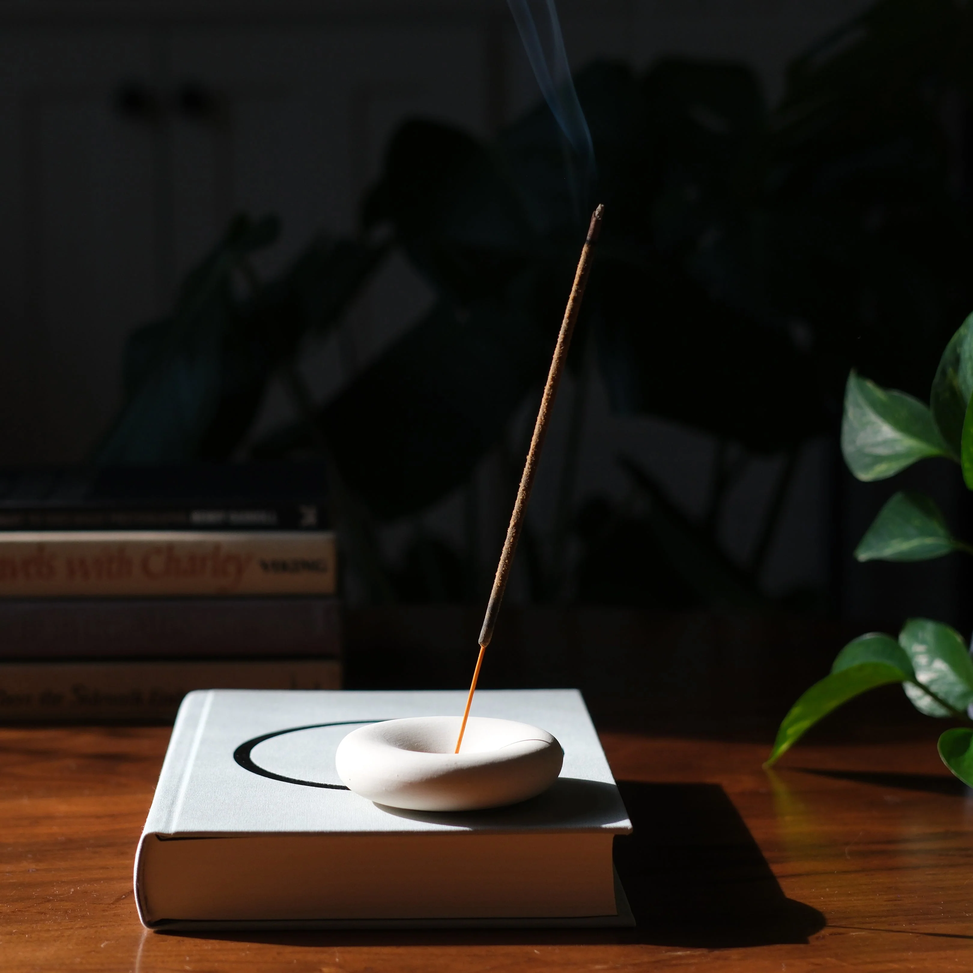 Eve Incense - Image 4