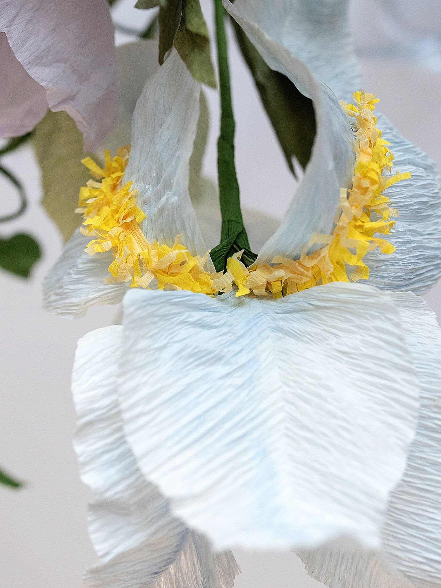 Even Cowgirls Get the Blues | Wild Paper Flower Bouquet - Image 3