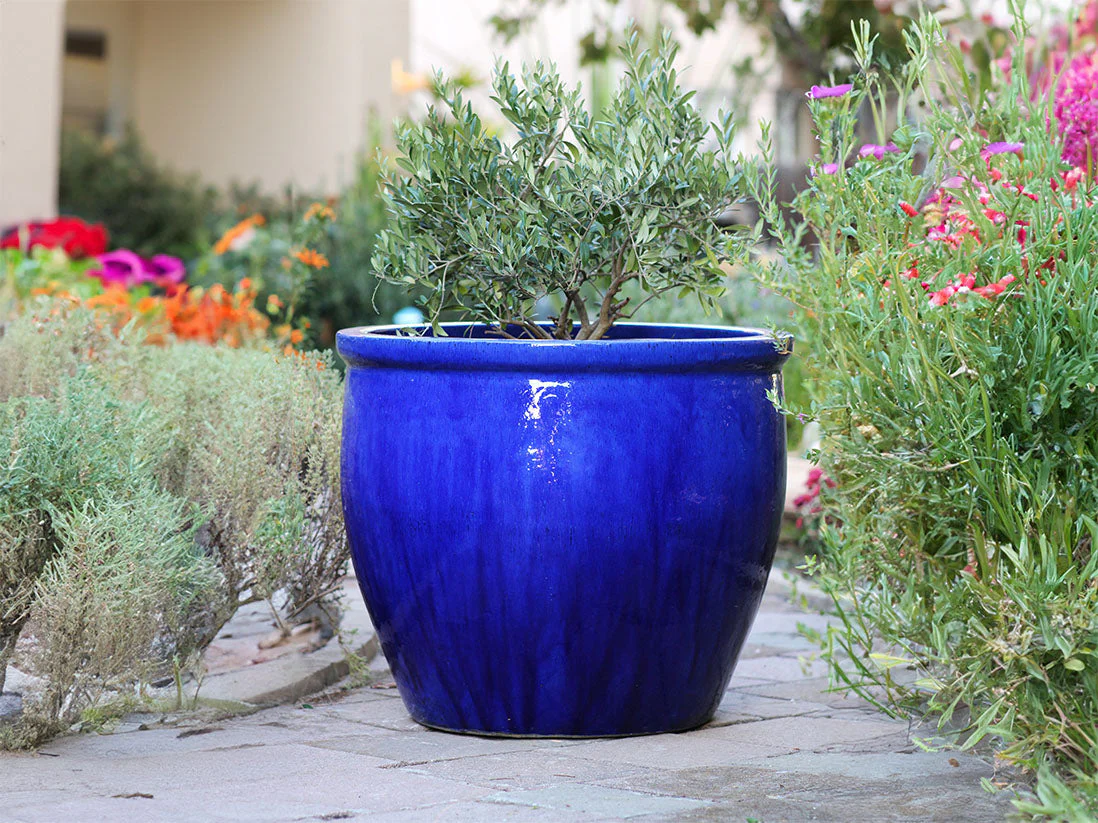 Extra Large No Decor Panter By Plantatorem - Image 2