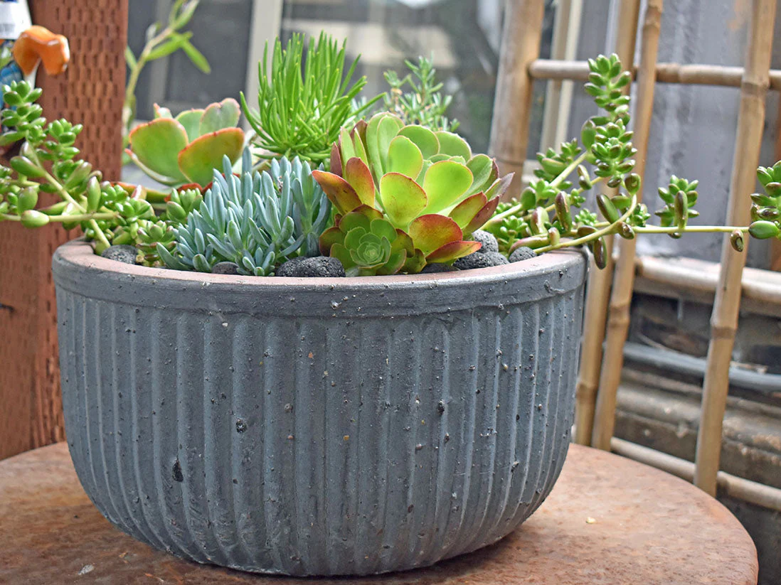 Faux Zin Can Low Planter - Set of 3 By Plantatorem - Image 2