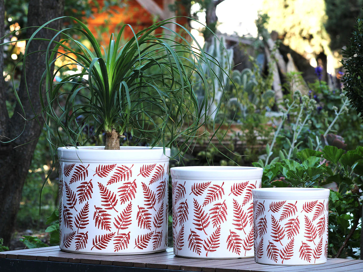 Fern Planters By Plantatorem - Image 10
