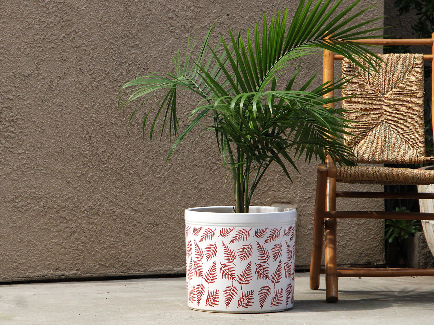 Fern Planters By Plantatorem - Image 12