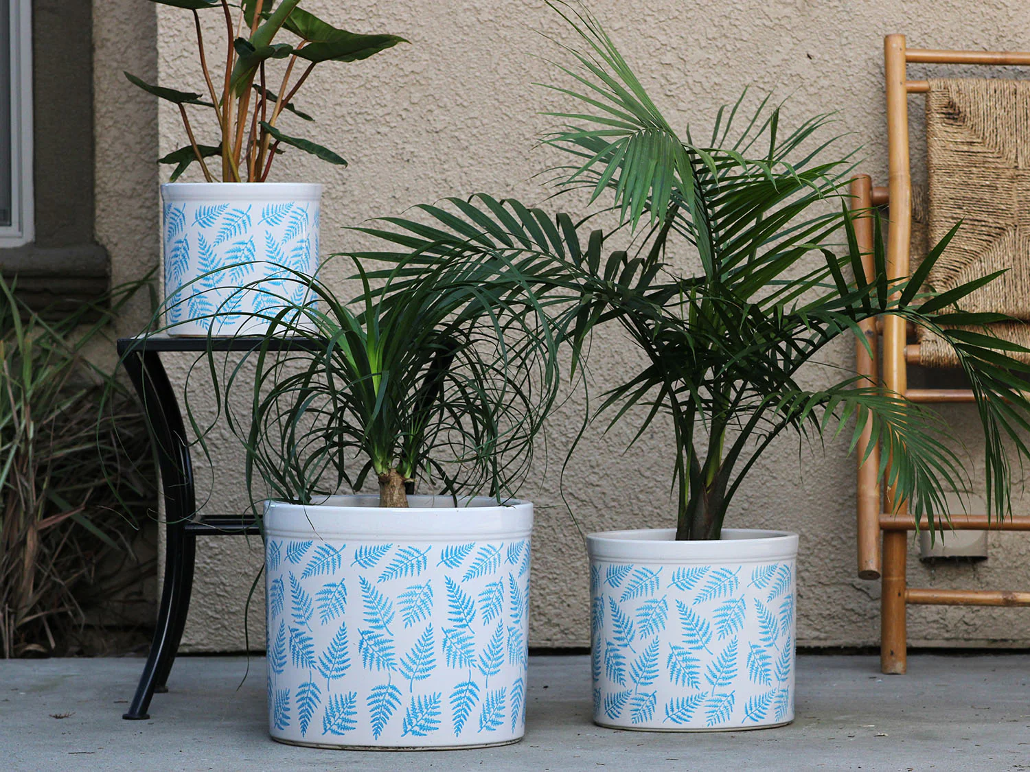 Fern Planters By Plantatorem - Image 15