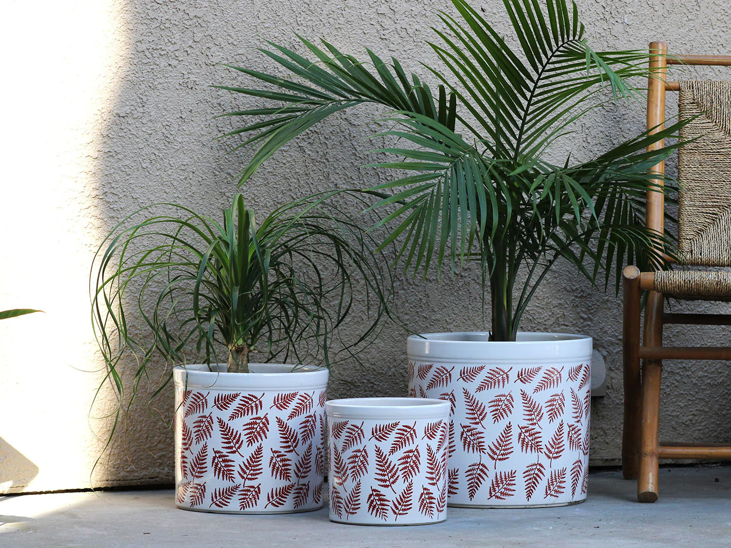 Fern Planters By Plantatorem - Image 2
