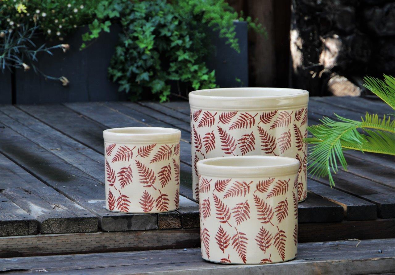 Fern Planters By Plantatorem - Image 4