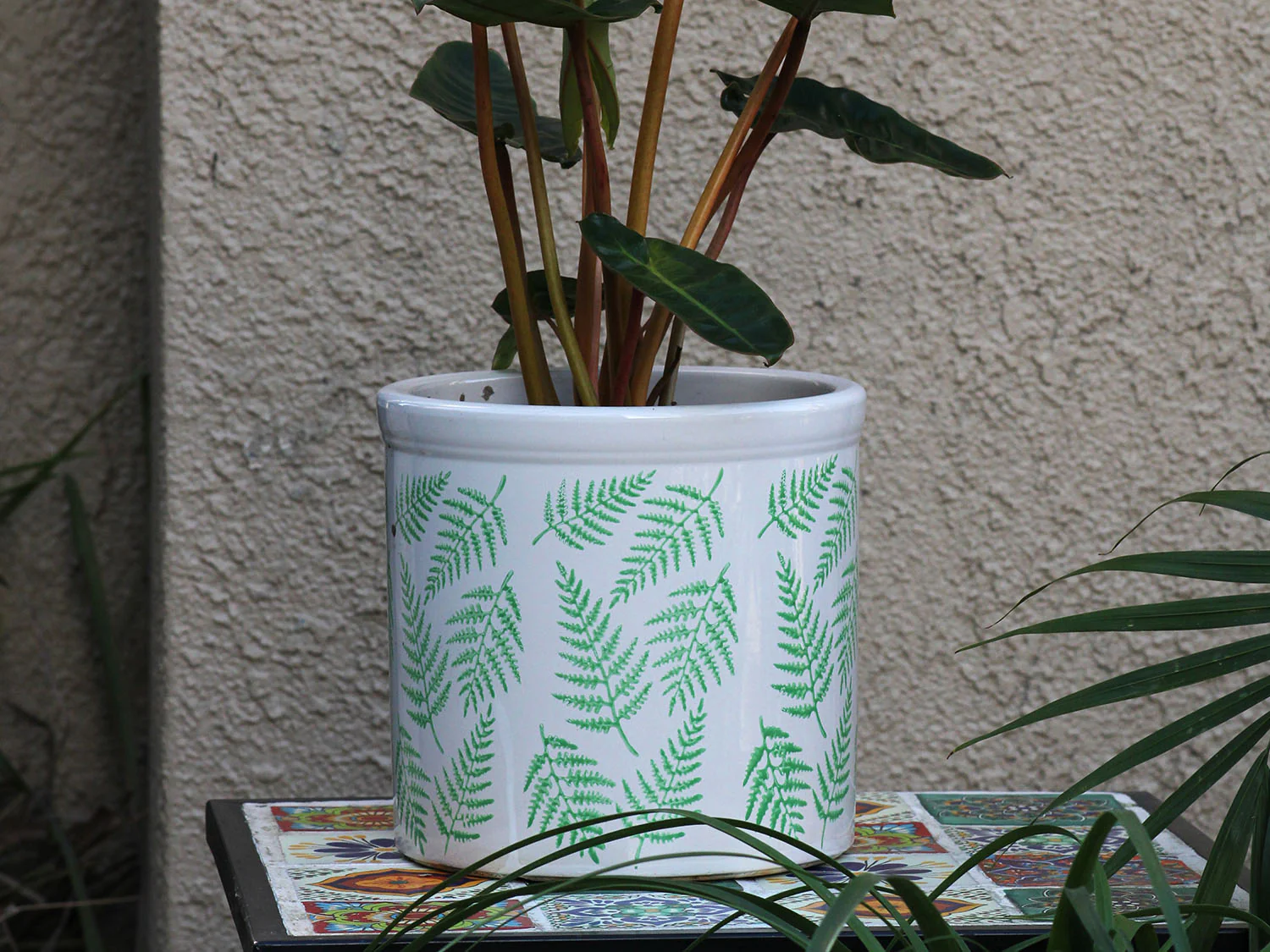Fern Planters By Plantatorem - Image 5