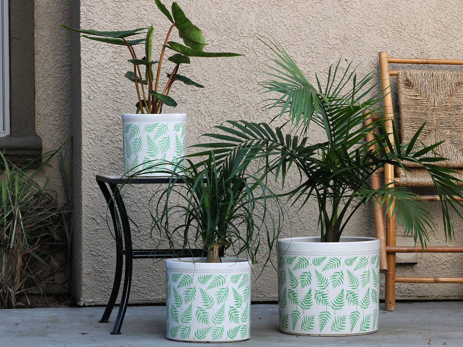 Fern Planters By Plantatorem - Image 6