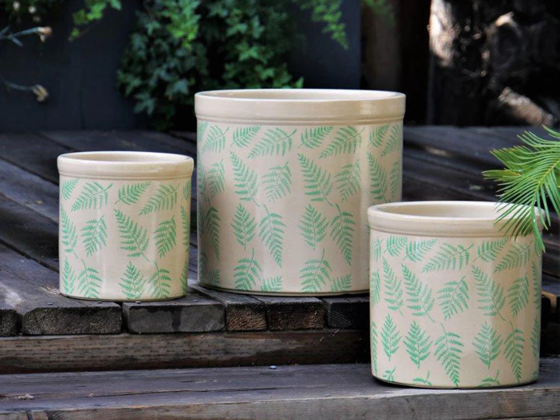 Fern Planters By Plantatorem - Image 7
