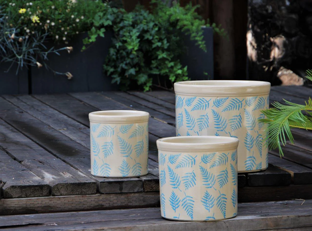 Fern Planters By Plantatorem - Image 9