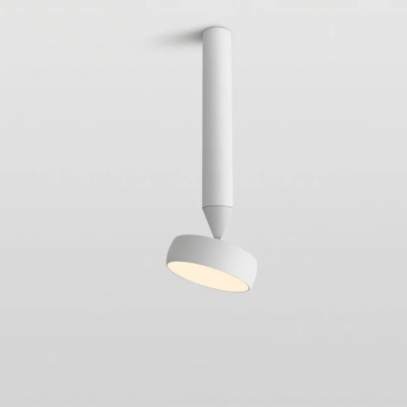 Fionn Ceiling Light - Image 8