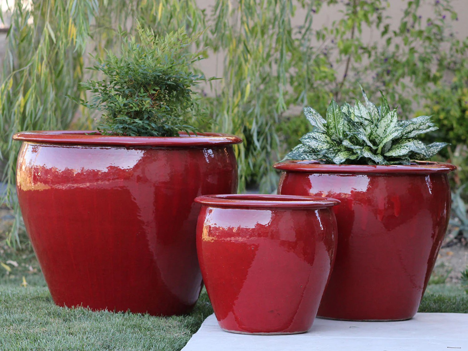 Fish Bowl Pots - Set of 3 By Plantatorem - Image 10