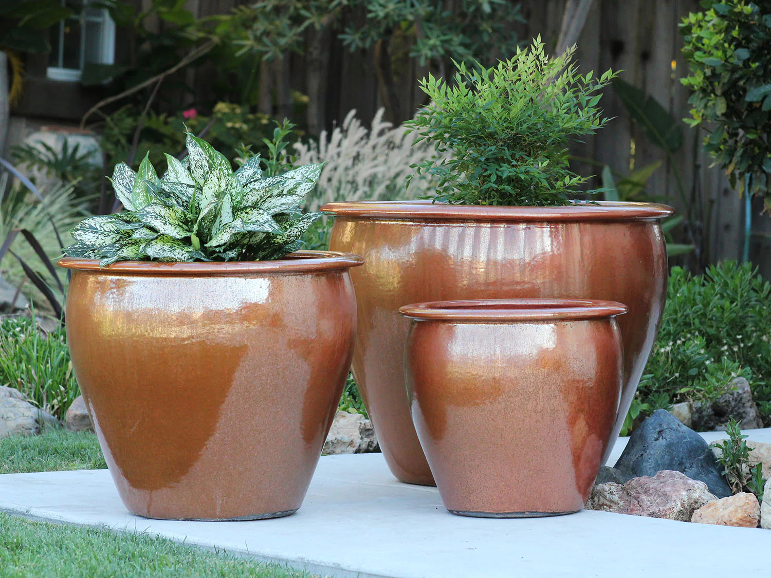Fish Bowl Pots - Set of 3 By Plantatorem - Image 11