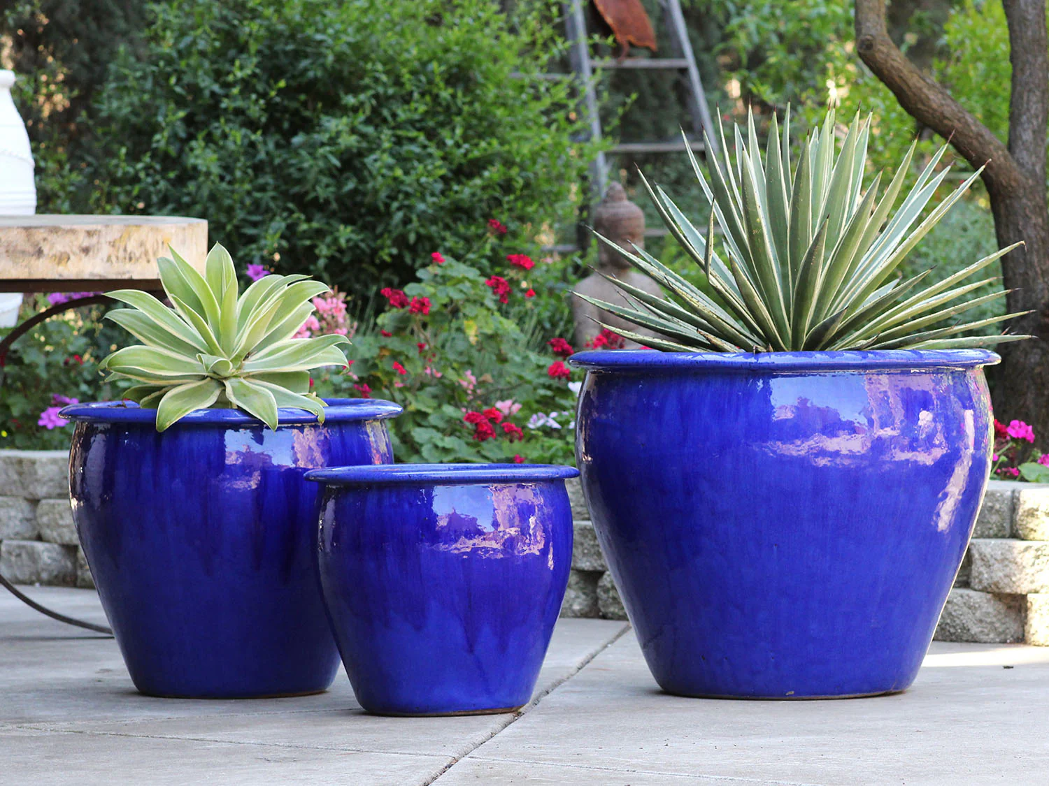 Fish Bowl Pots - Set of 3 By Plantatorem - Image 2