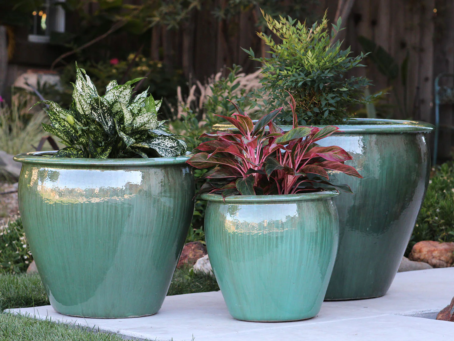 Fish Bowl Pots - Set of 3 By Plantatorem - Image 8