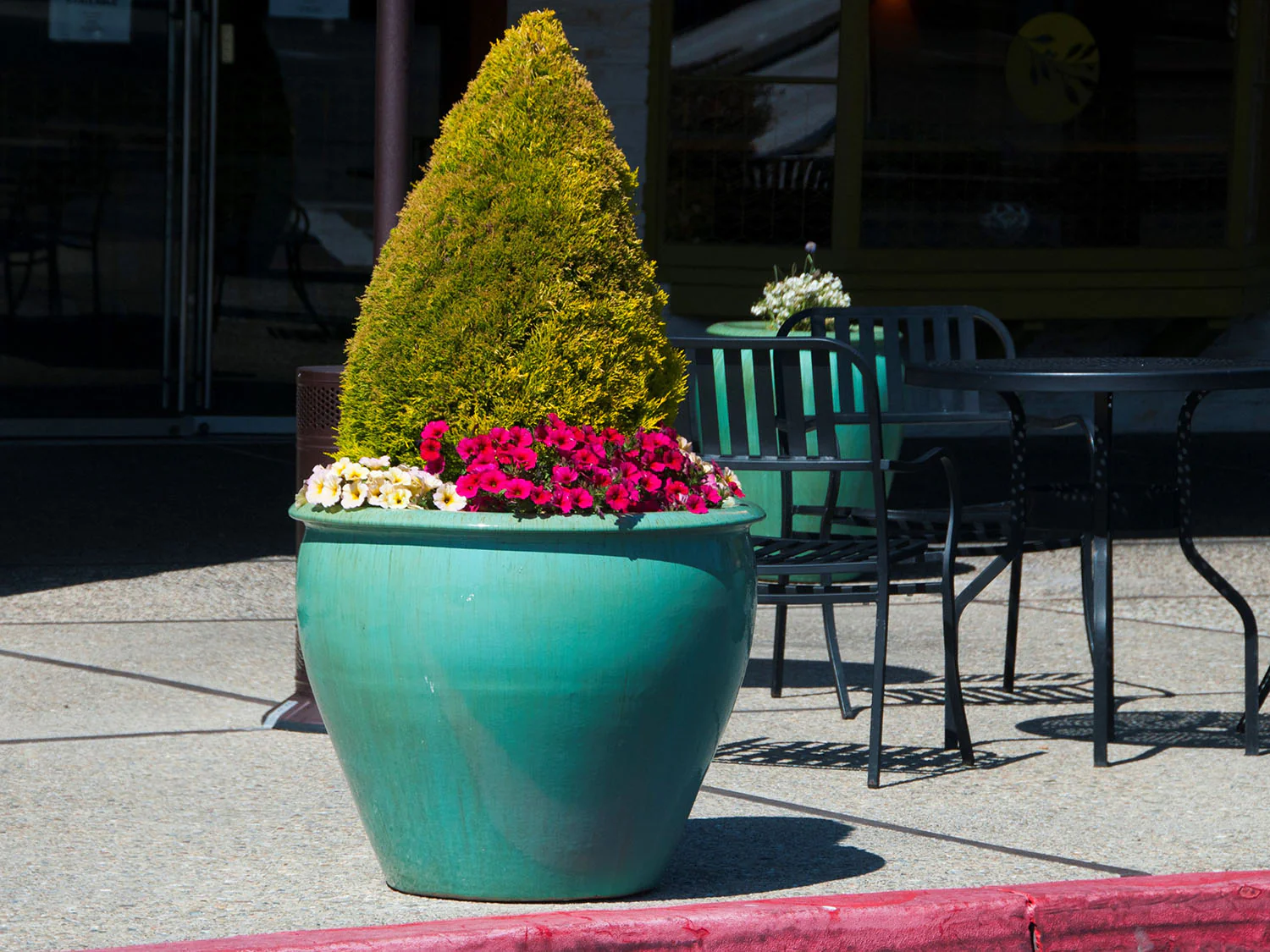 Fish Bowl Pots - Set of 3 By Plantatorem - Image 9