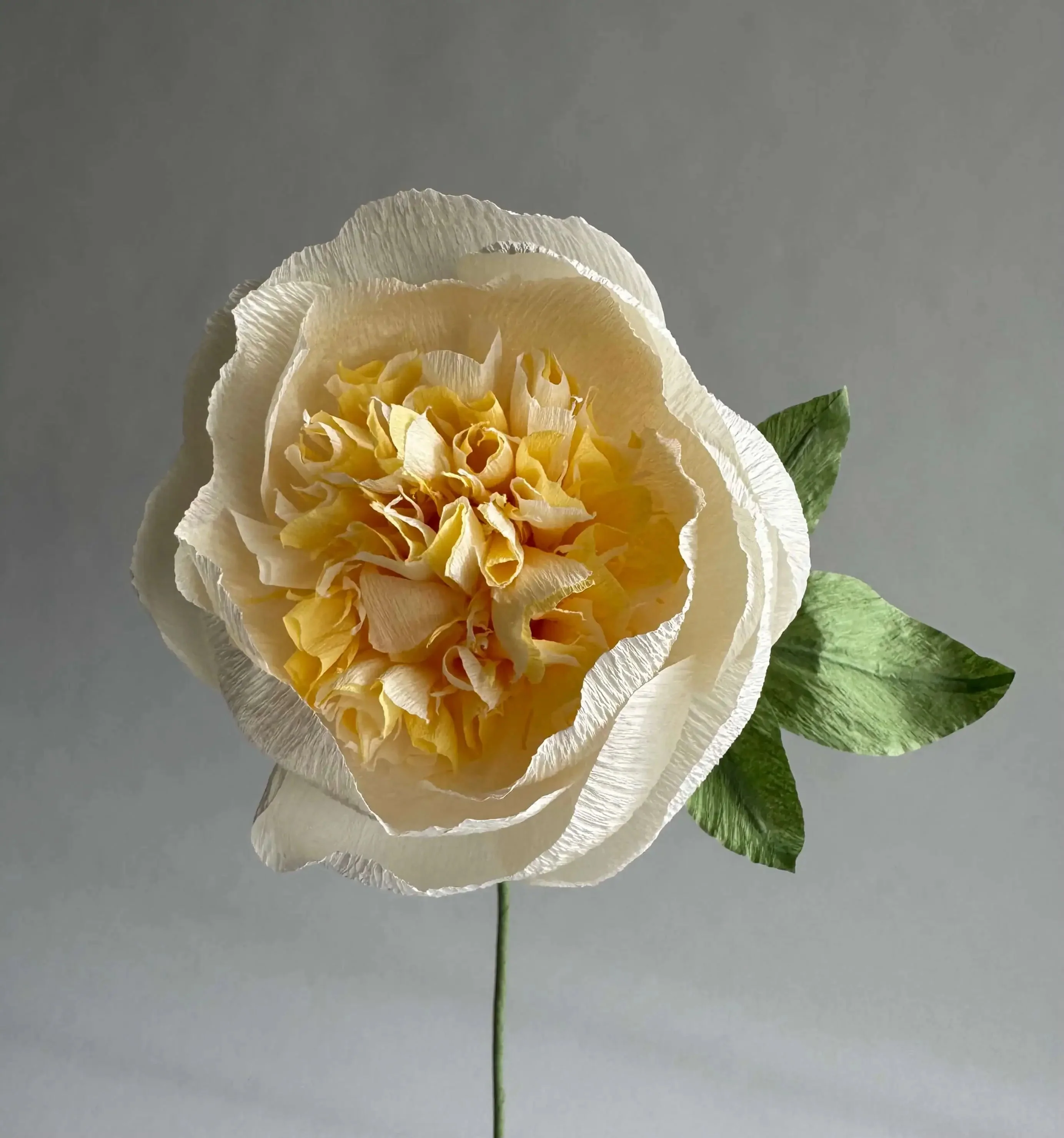 Fluffy Peony - Image 2