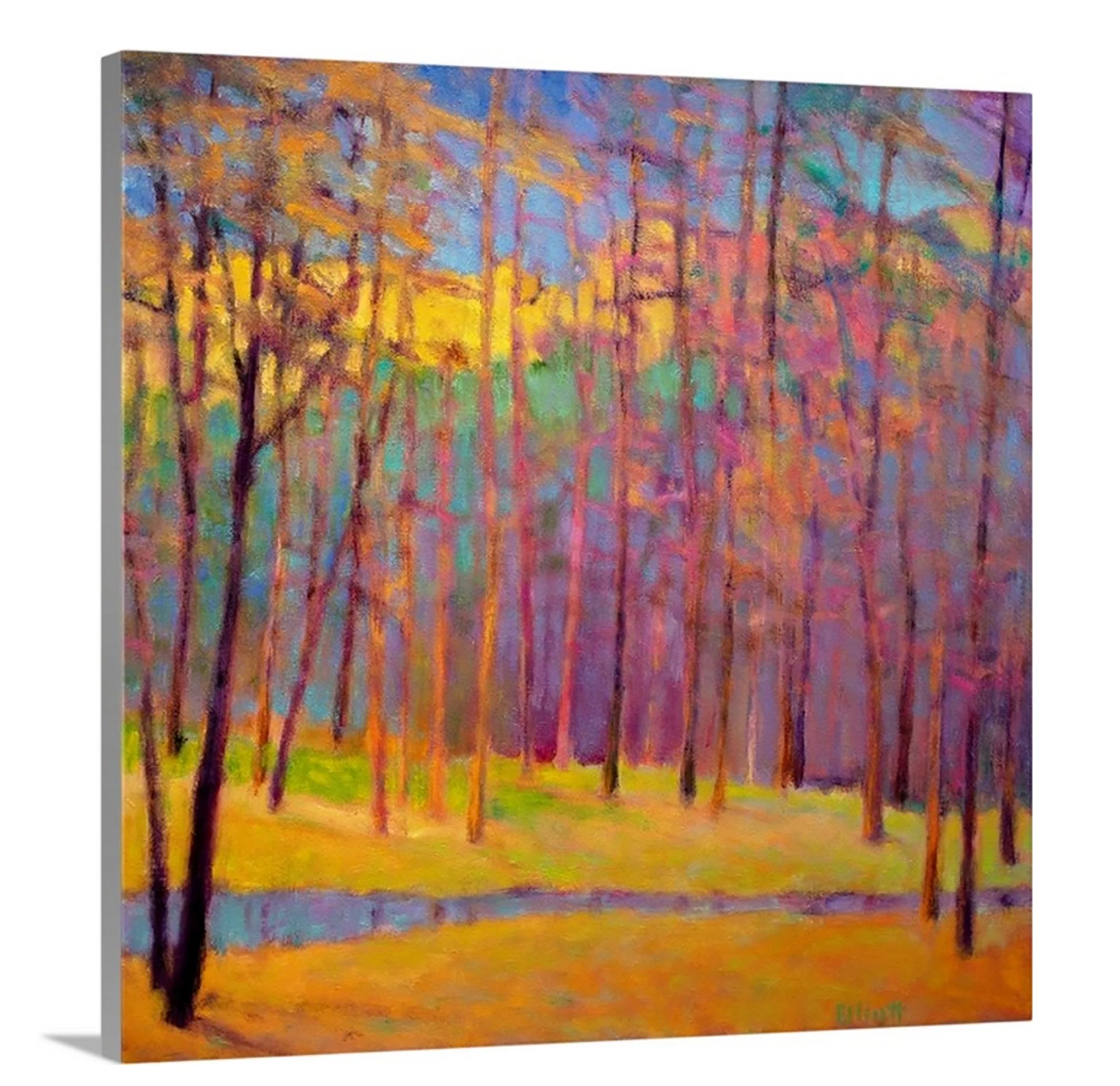 Forest Colors Arrayed - Open Edition Canvas Print - Image 3