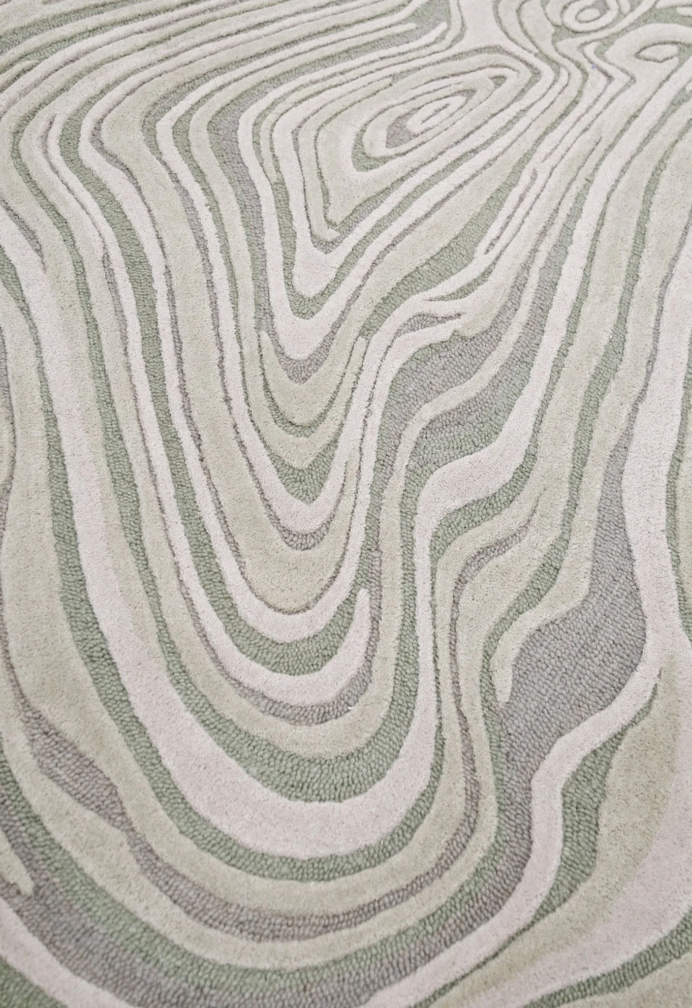 Fossil Modern Style Ivory Hand Tufted 5x7 Wool Rug - Image 5