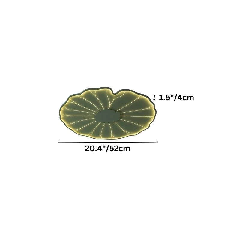 Fyntor Ceiling Light - Image 13