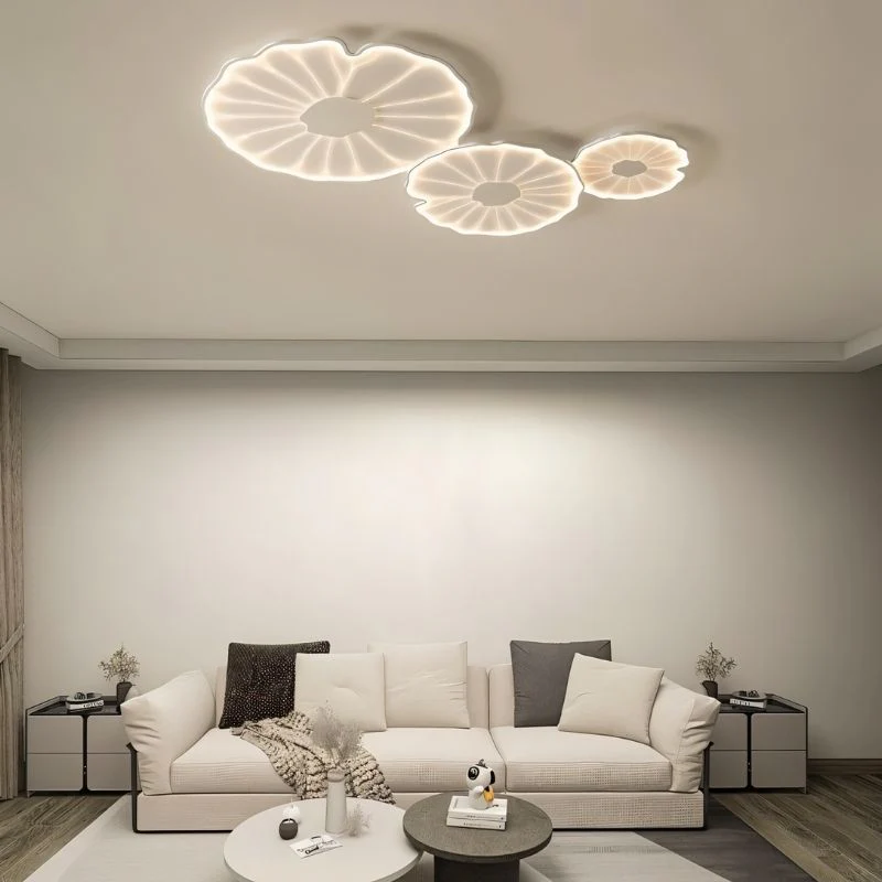 Fyntor Ceiling Light - Image 3