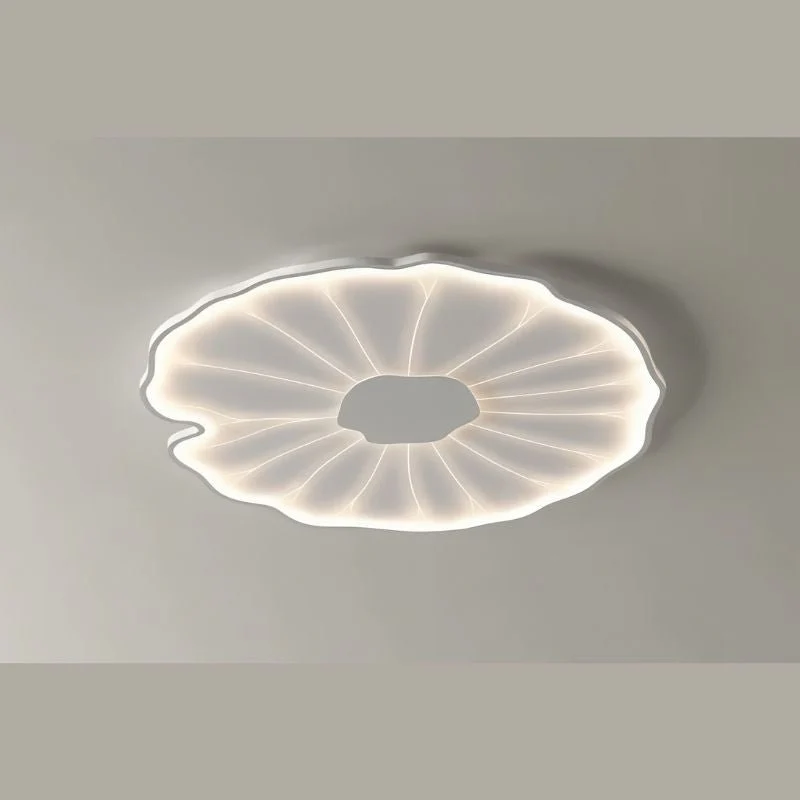 Fyntor Ceiling Light - Image 5