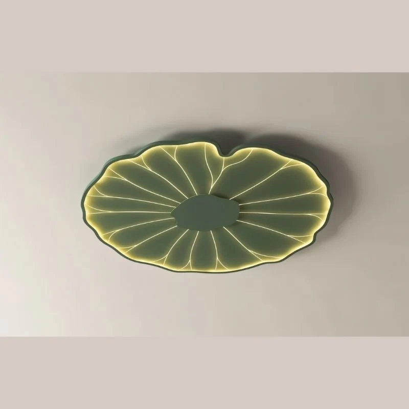 Fyntor Ceiling Light - Image 6