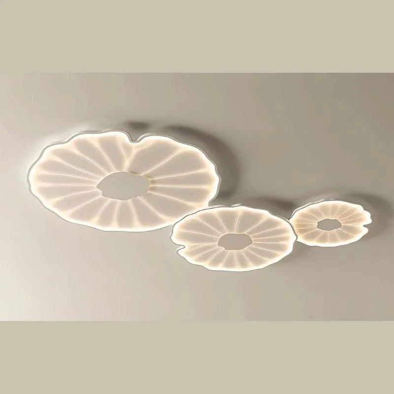 Fyntor Ceiling Light - Image 7