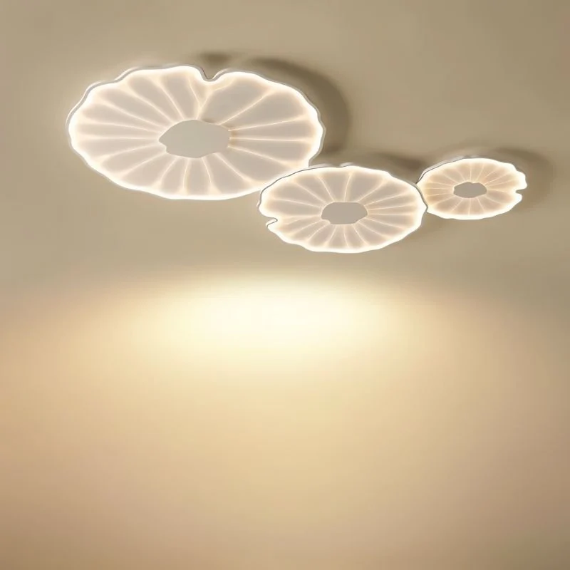 Fyntor Ceiling Light - Image 9