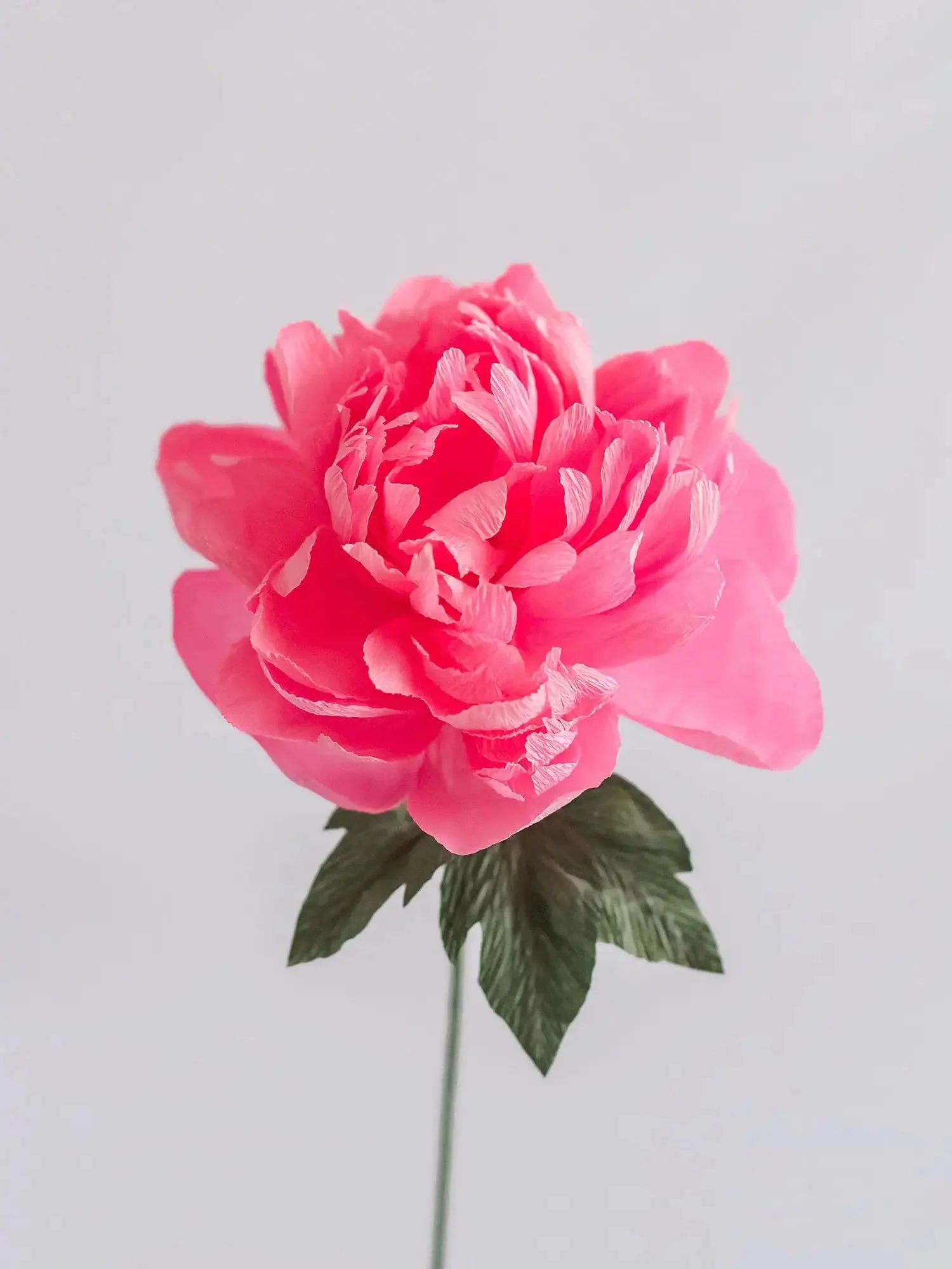 Garden Peony Single Stem | Handcrafted Paper Flower - Image 3