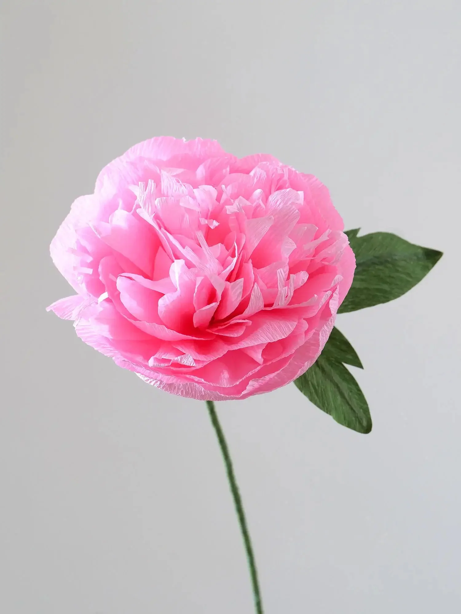Garden Peony Single Stem | Handcrafted Paper Flower - Image 5