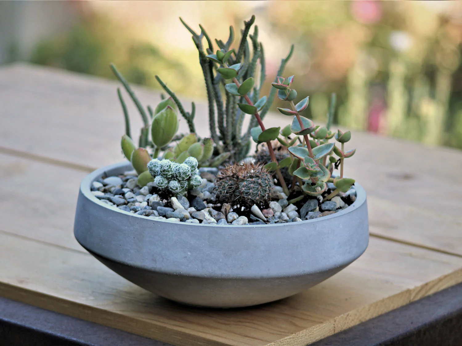 Geometry Low Sphere Planter By Plantatorem - Image 2