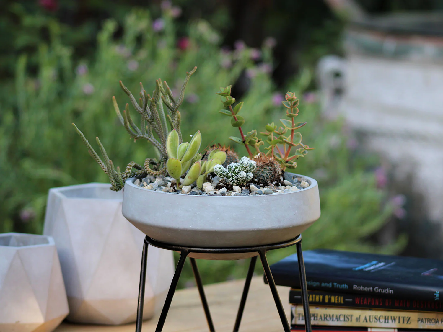 Geometry Low Sphere Planter By Plantatorem - Image 3