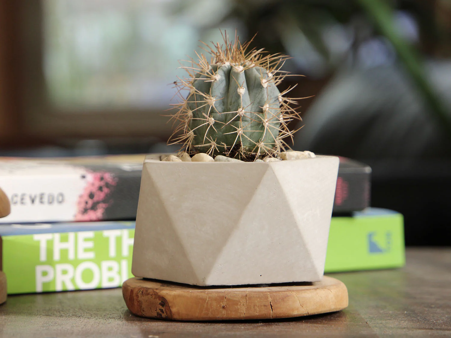 Geometry Pentagon Planter By Plantatorem - Image 2