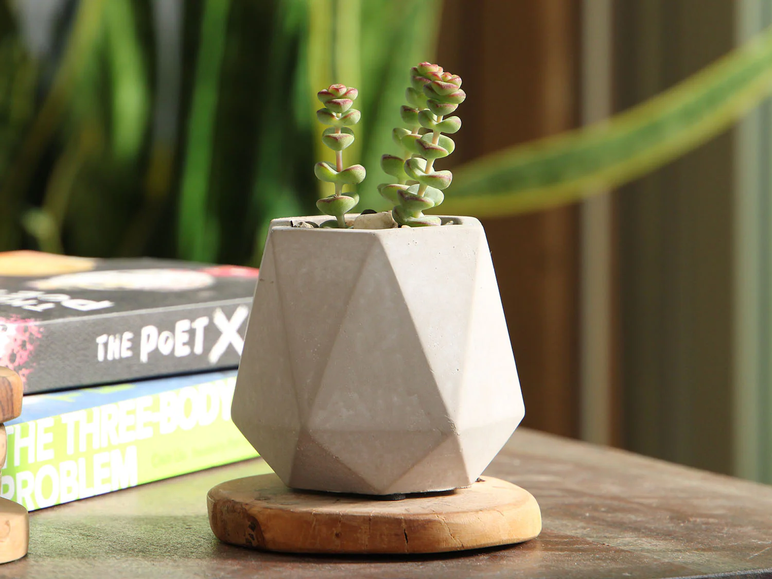Geometry Skyline Tumbler Planter By Plantatorem - Image 2