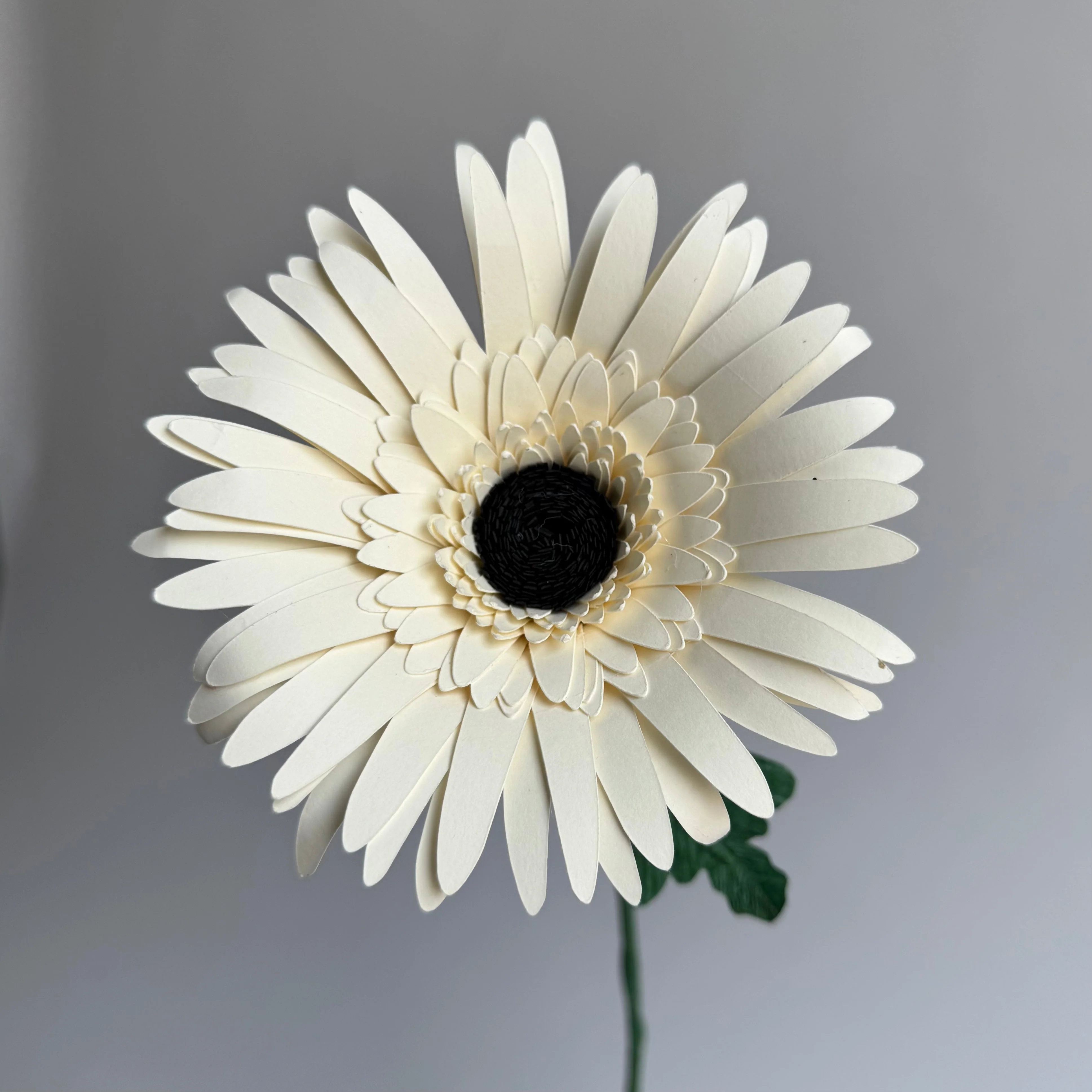 Gerber Daisy Single Stem | Handcrafted Paper Flower - Image 2