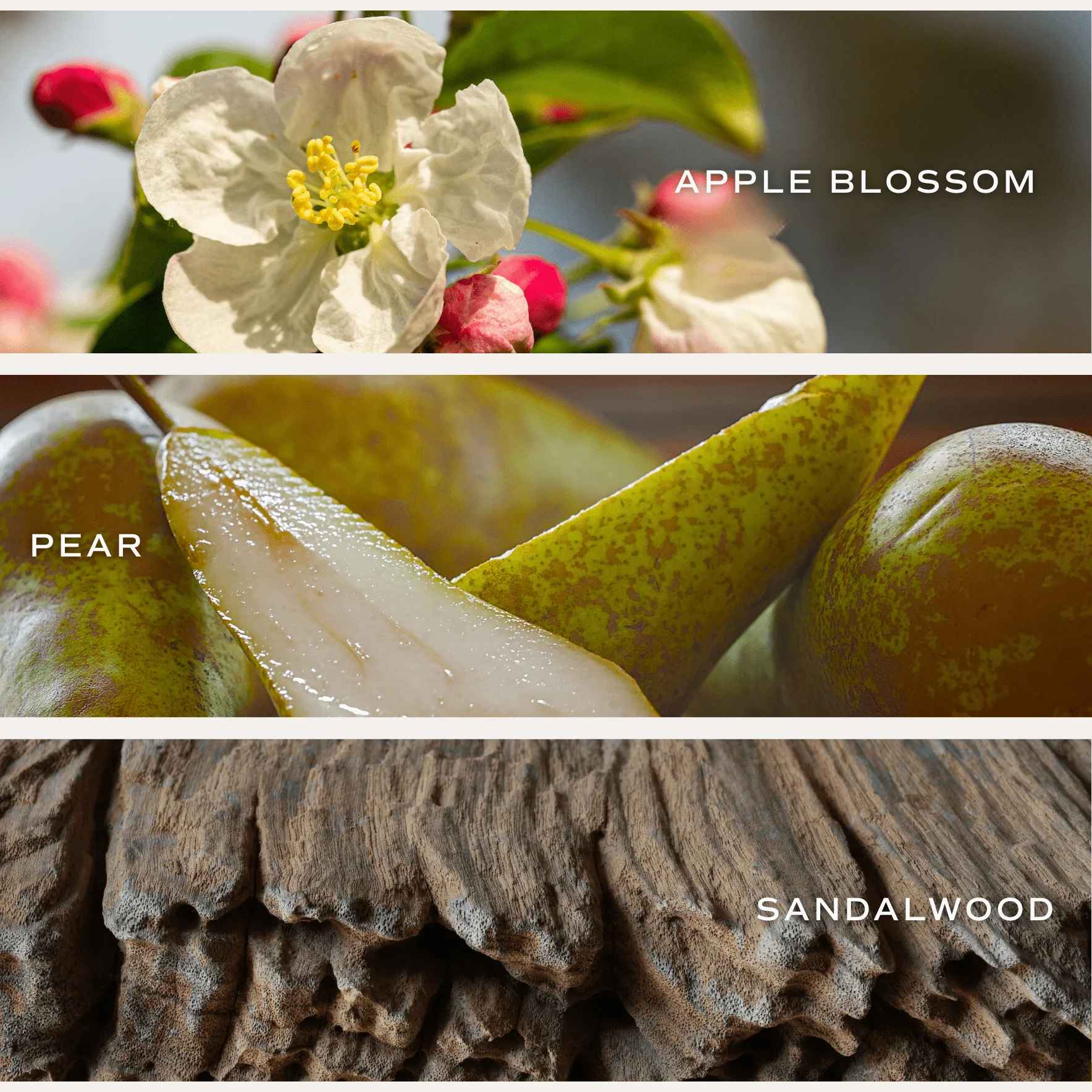 Gold Floral Soy Candle - White Translucent Tinted Glass Jar - 12 oz (Fresh Apple Blossom) - Image 4