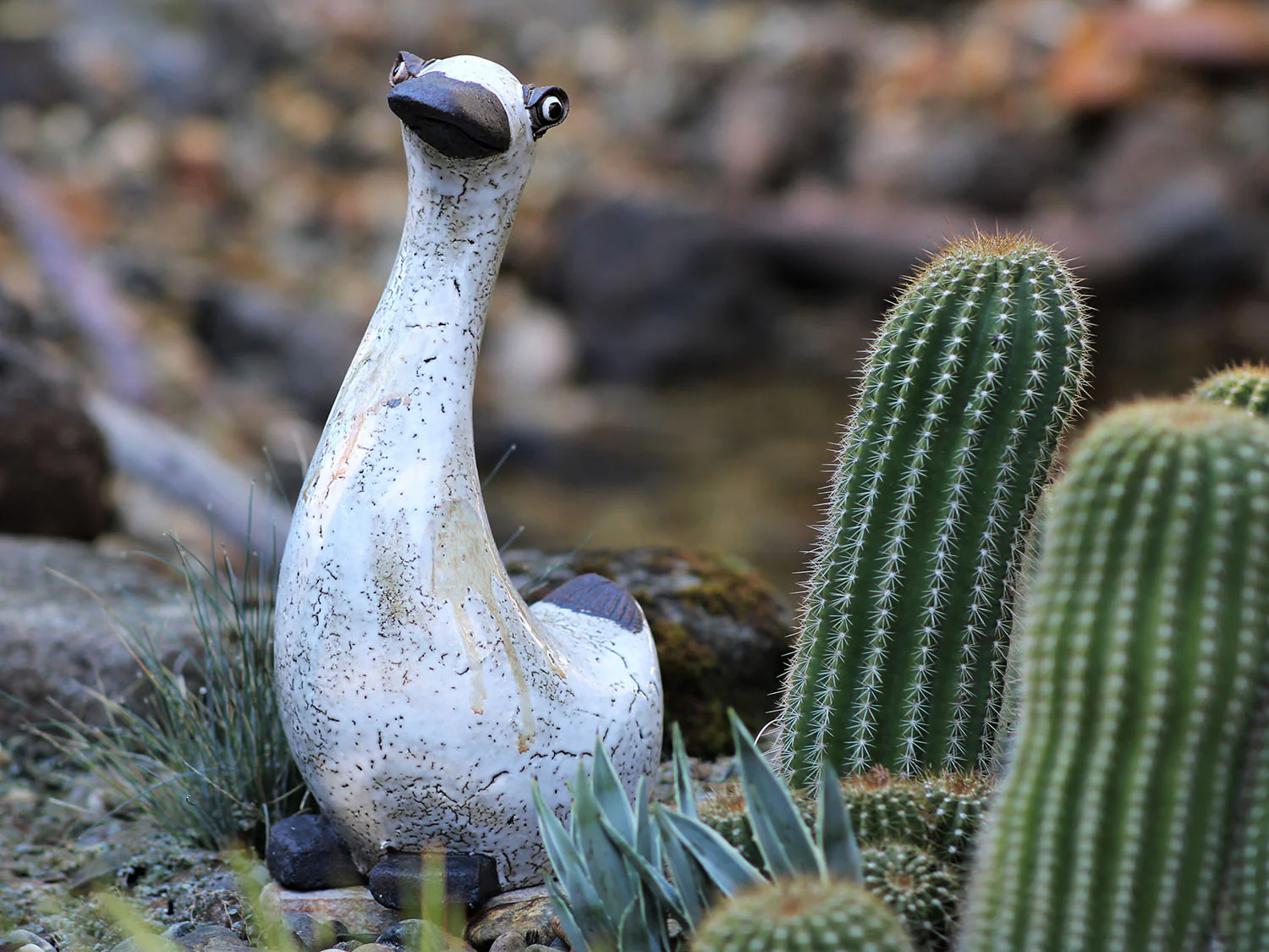 Goose - Image 2