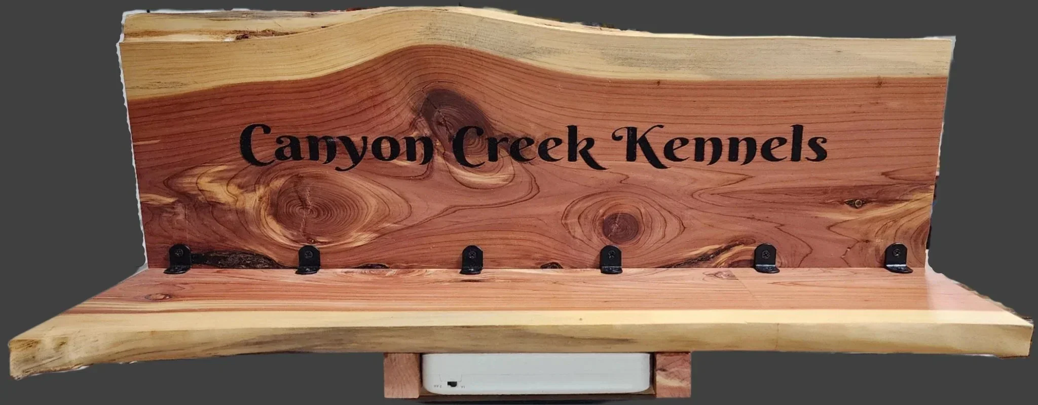 GPS dog collar charging station (Engraved wood sign) - Image 3