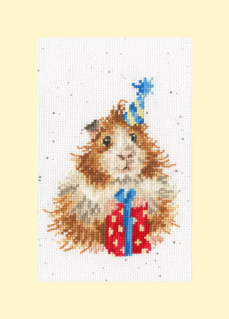 Guinea Be A Great Day -Thread Pack XGC38-TP Counted Cross Stitch Kit